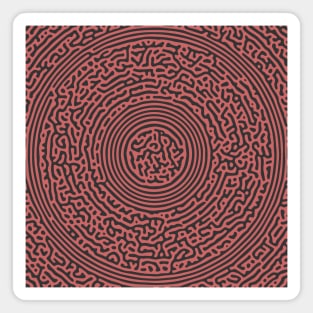 Circular Turing Pattern (Rose Gold) Magnet